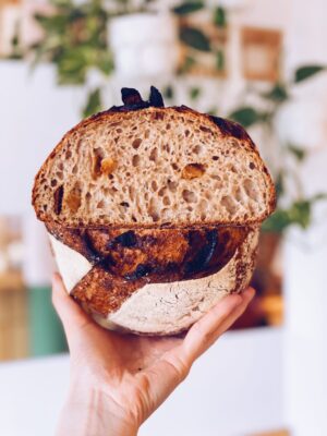 Świeżo Upieczona Chleb bochenek pszenny z morelami i orzechami laskowymi